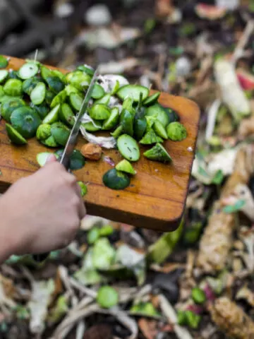 adding to a compost pile