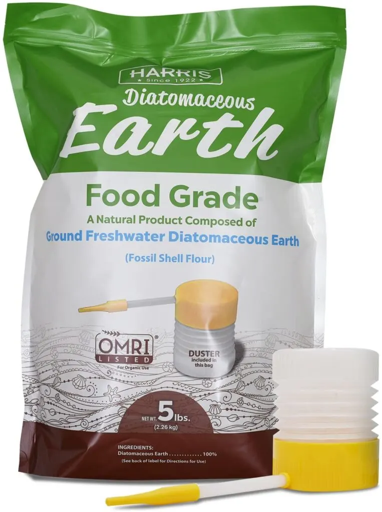 diatomaceous earth - get rid of earwigs