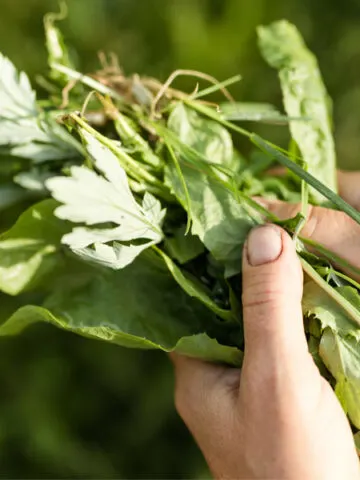 how to stop weeds in flowerbeds