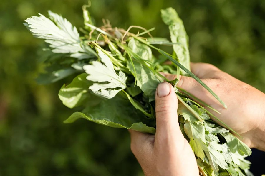 how to stop weeds in flowerbeds