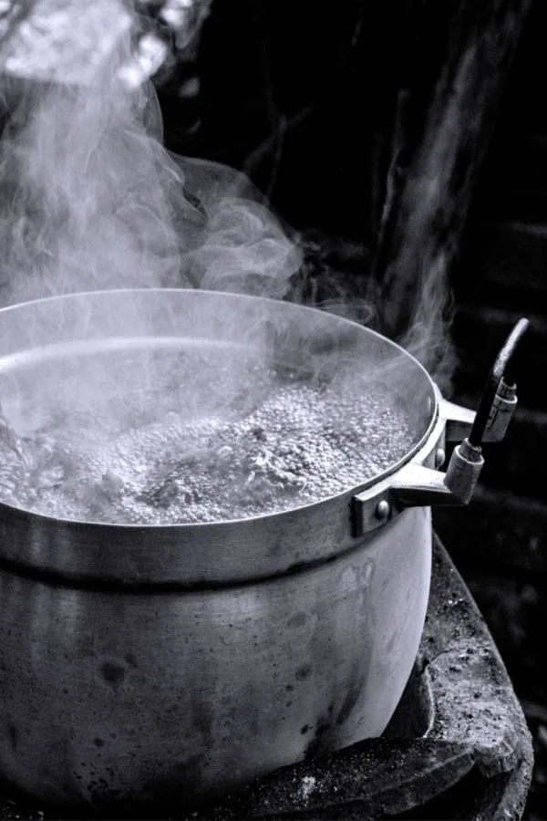 boiling water to control weeds