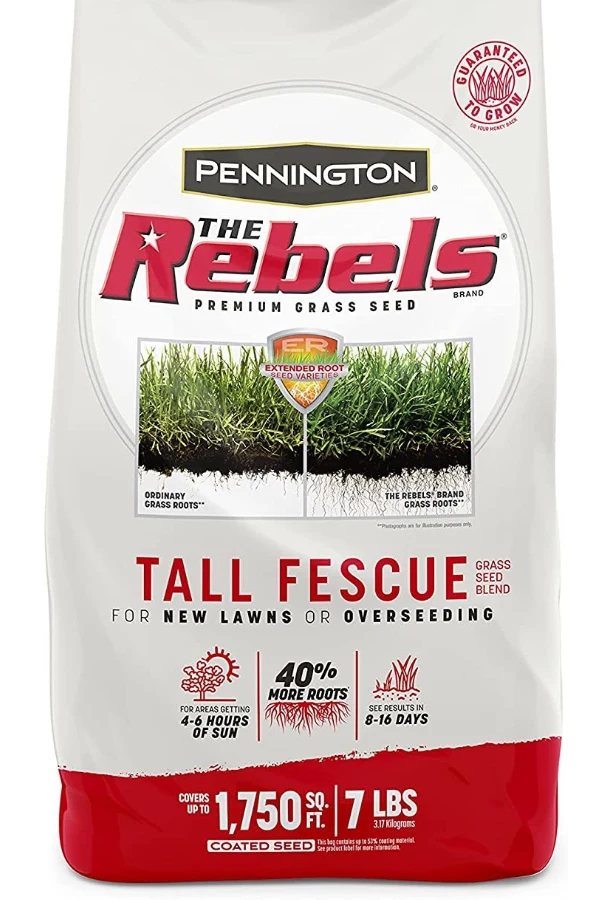 tall fescue blend