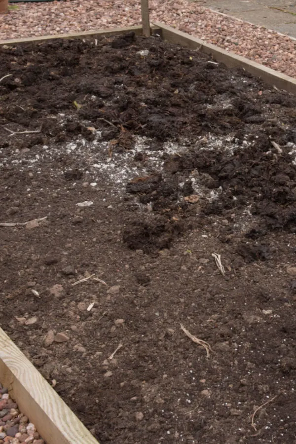 bare soil