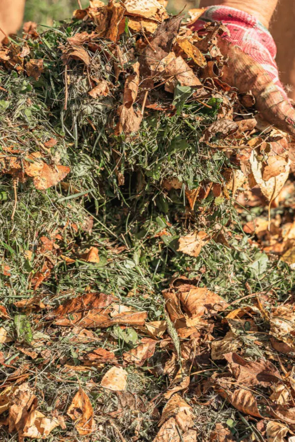 covering a vegetable garden