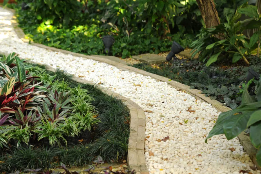 using stone as a mulch in walkways