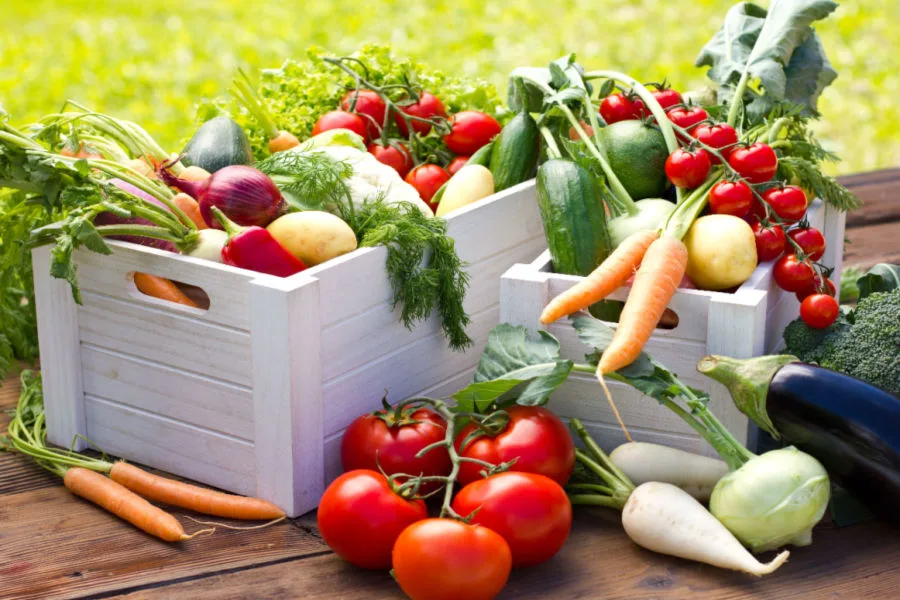 grow your groceries - plan a garden