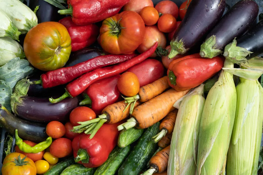 Baker Creek Heirloom vegetables - best garden seed catalogs