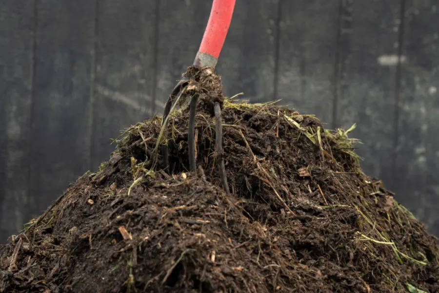 hot spring compost pile
