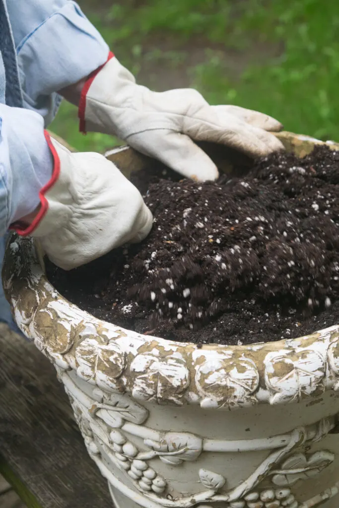 potting soil mix - planting flowers in pots