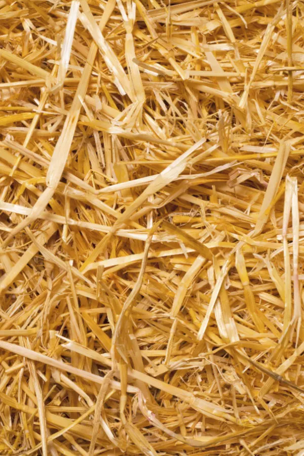 straw bales - the
