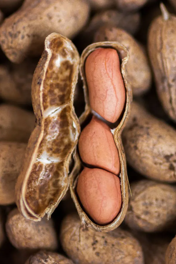 seeds