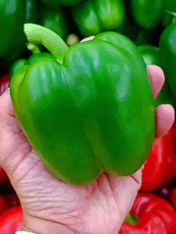 when to pick peppers