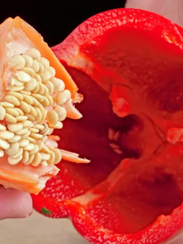 Seeds from a red bell pepper