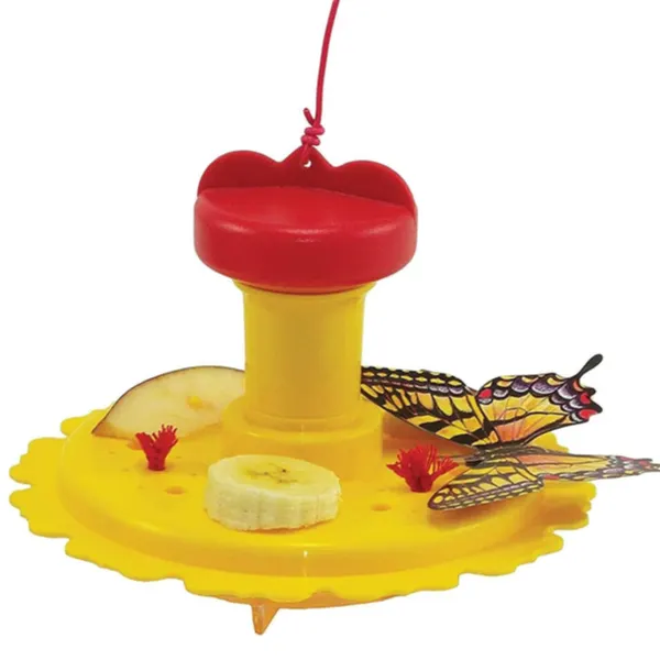 butterfly feeders