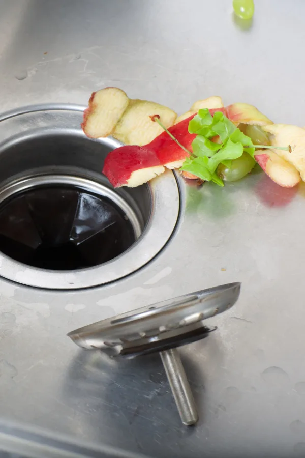 how to get rid of fruit flies and gnats