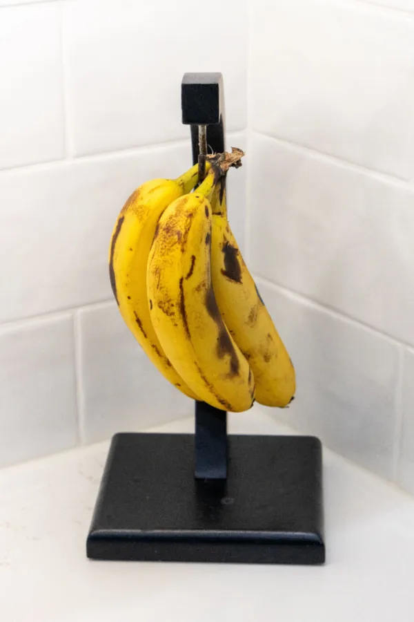 how to stop gnats and fruit flies