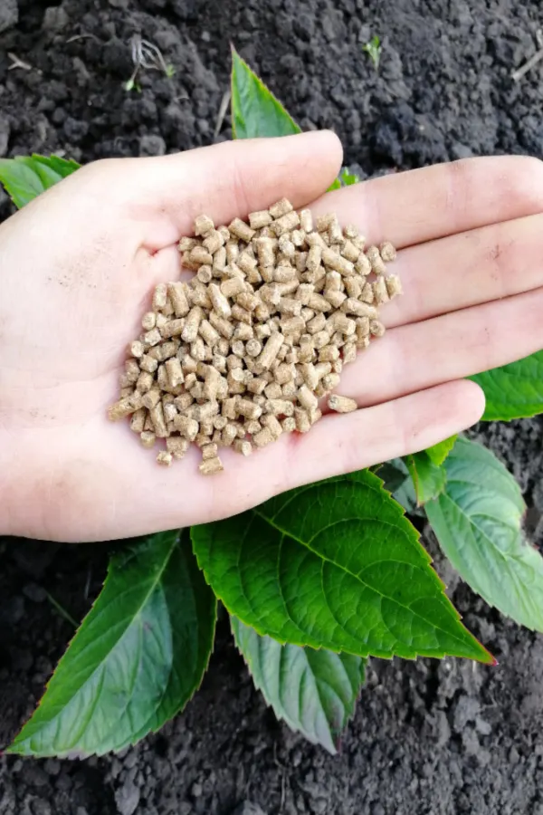 fertilizing