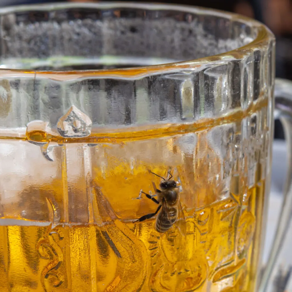 keep bees away in the fall