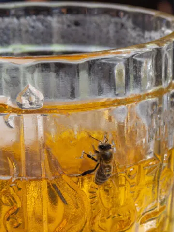 keep bees away in the fall