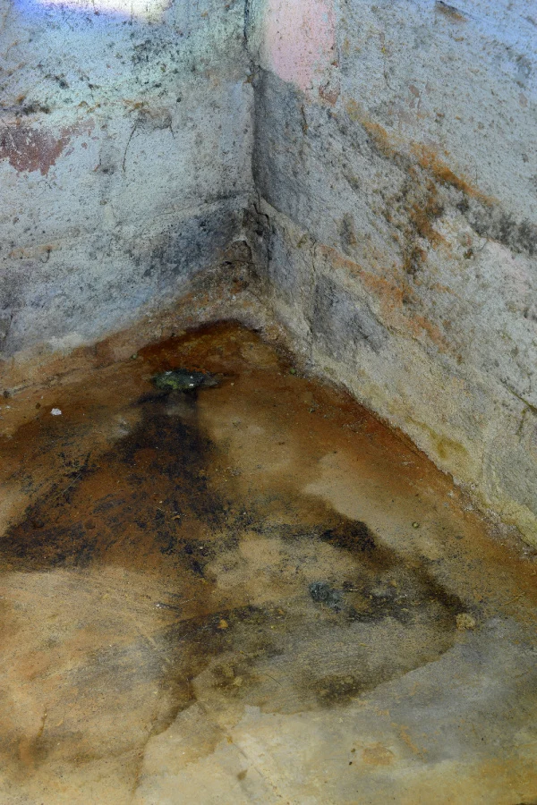 damp basement