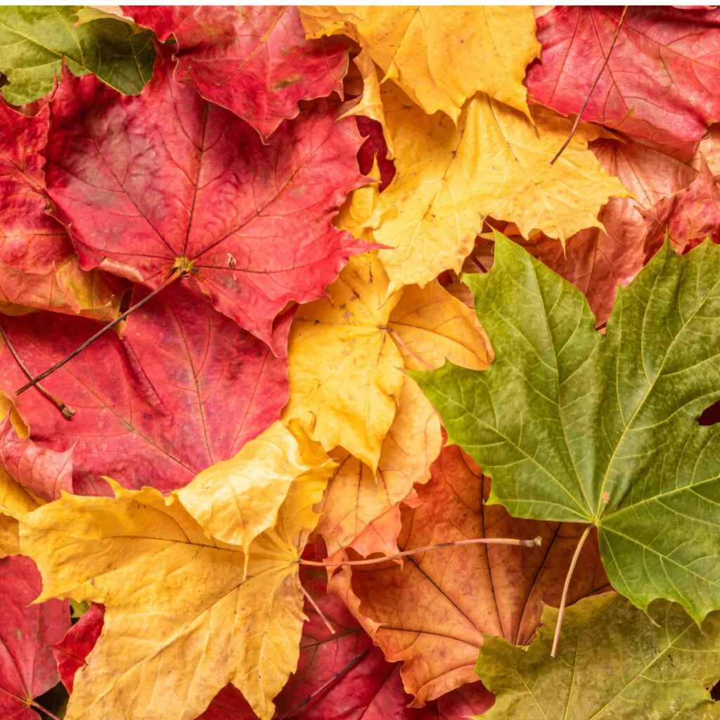make compost fast