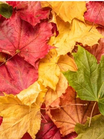 make compost fast