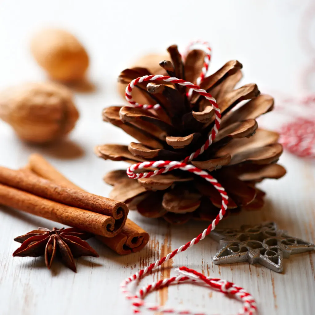 how to make scented pine cones