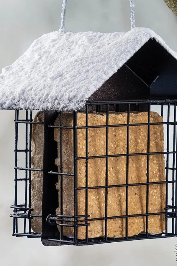 feeder cage
