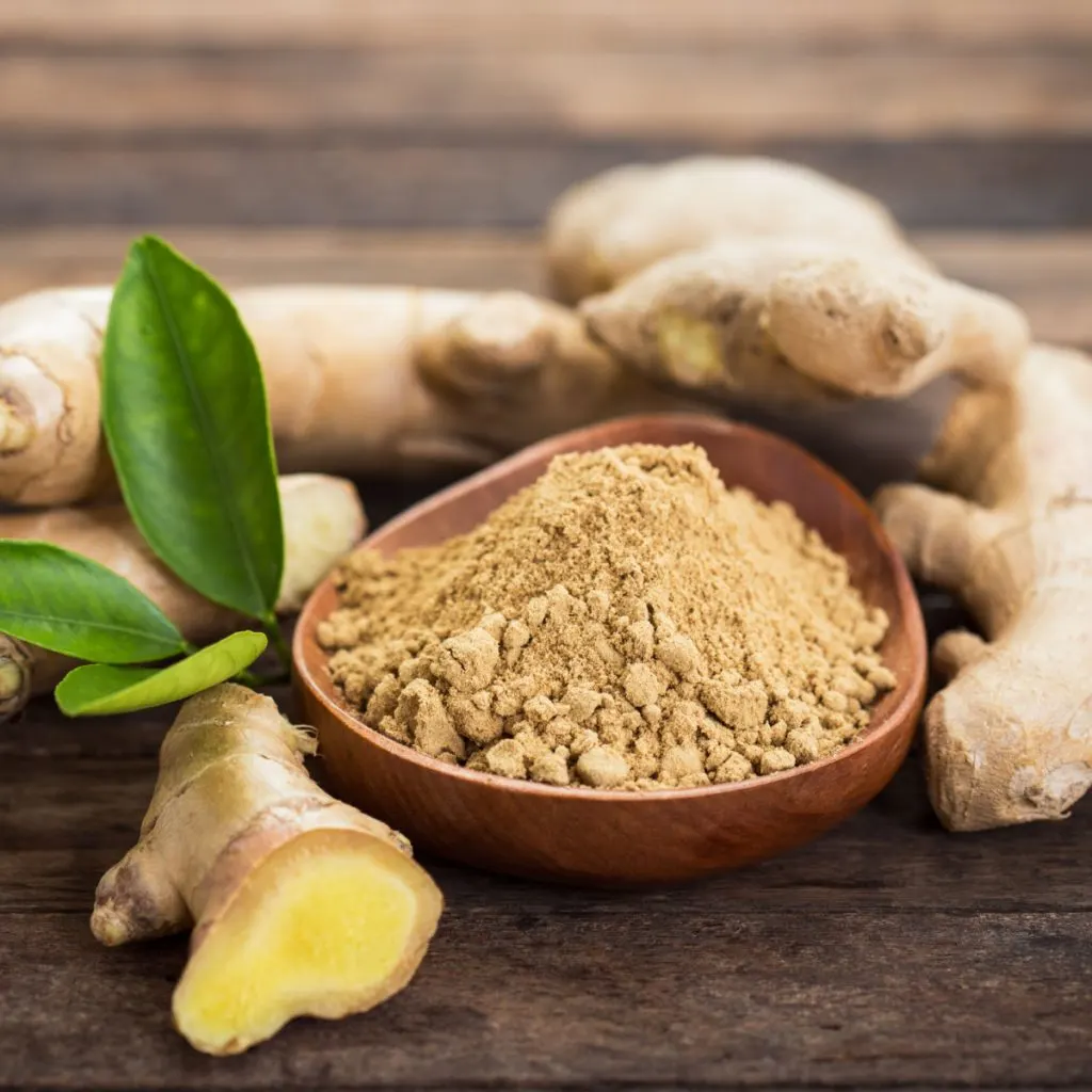 how to grow ginger as a houseplant indoors