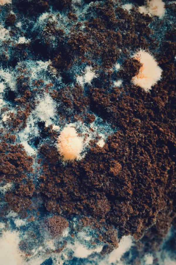 molding coffee grounds - how to save coffee grounds in the winter