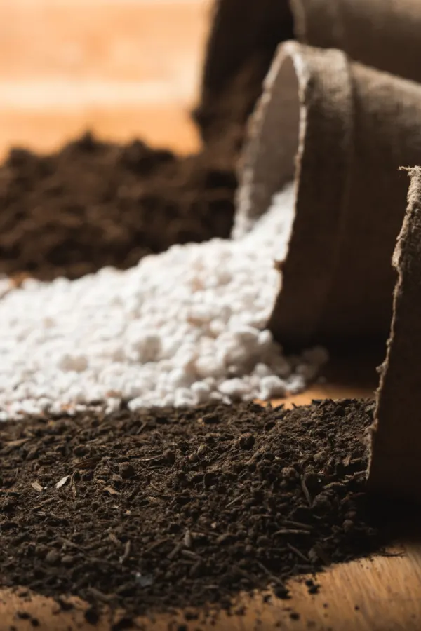 Three additives spilled on a table that should be added to potting soil to help improve drainage and make lighter soil. 