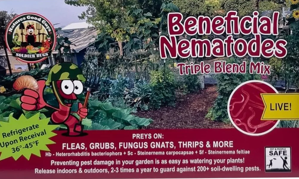 beneficial nematodes