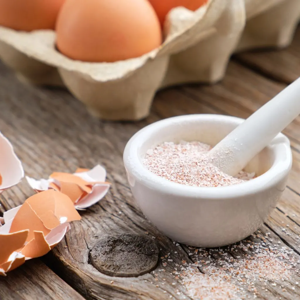 ground egg shells