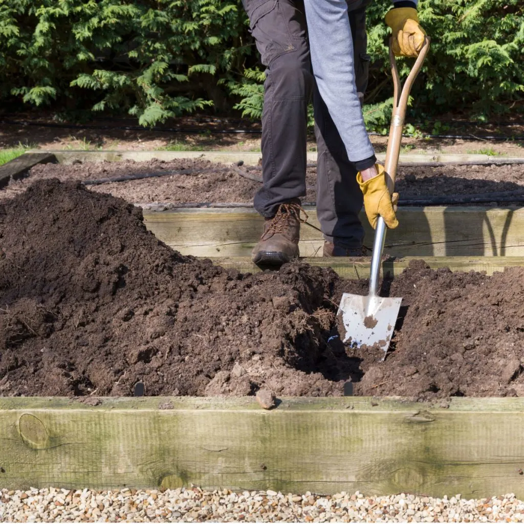 great raised bed soil