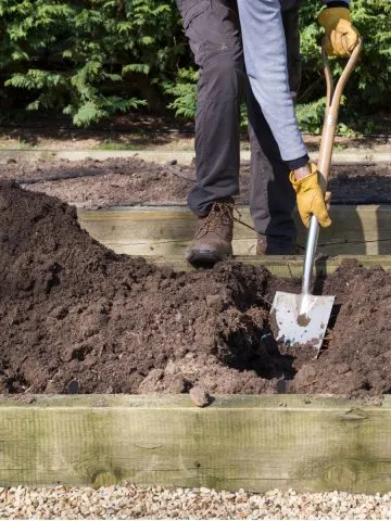 great raised bed soil