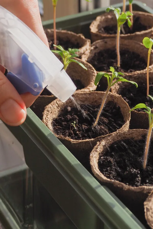 liquid fertilizer