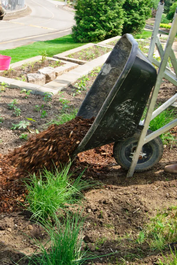clearing beds - weed free secrets
