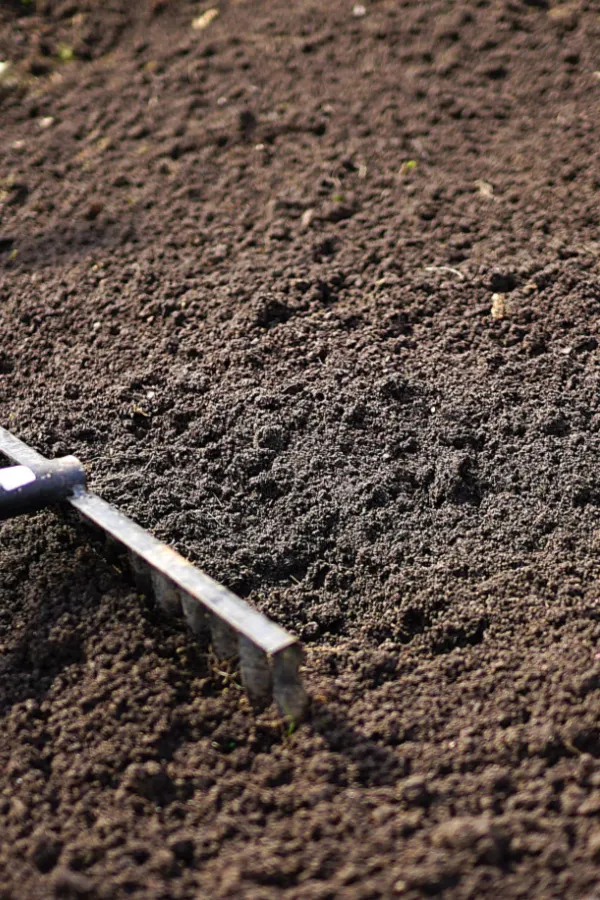 topsoil