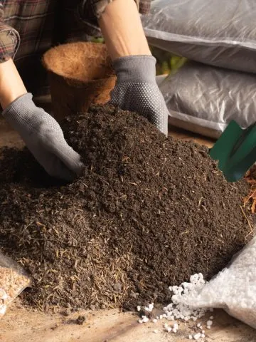 perfect potting soil mix