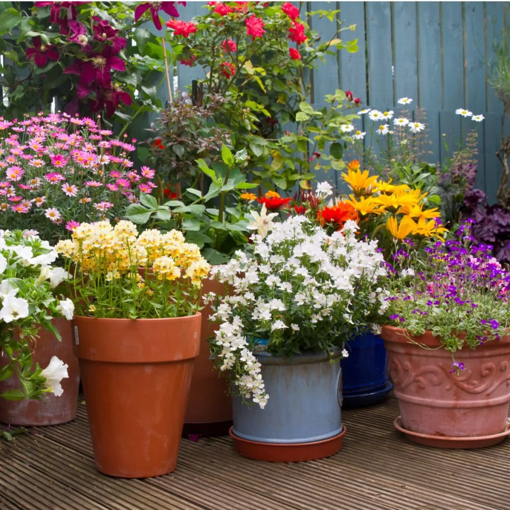 perfect potting soil