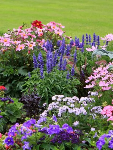 keep flowerbeds weed free - secrets