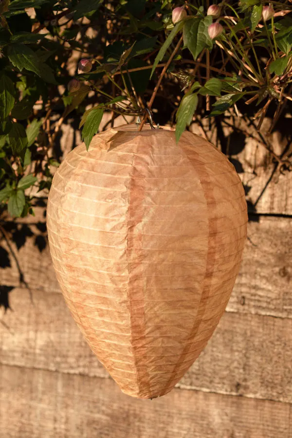 fake wasp nest