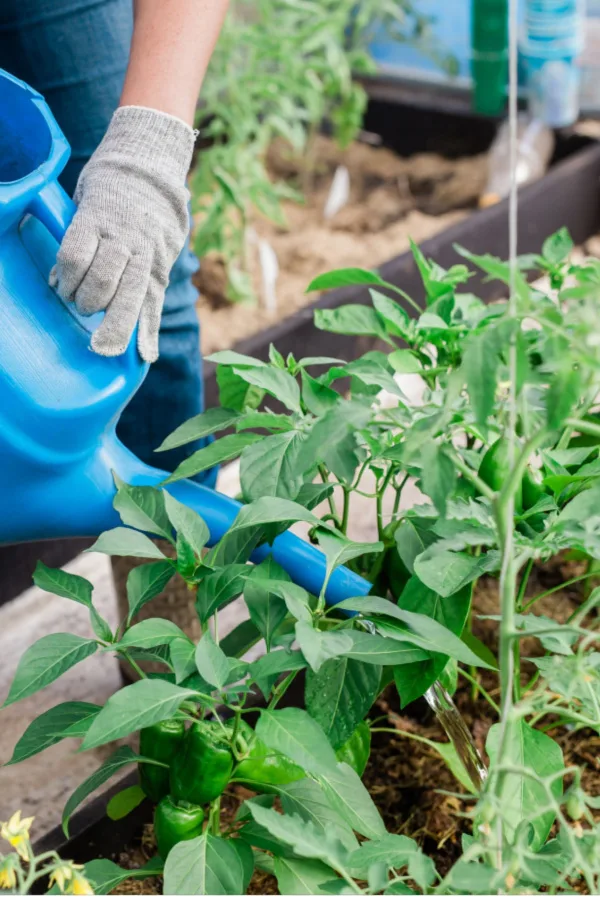 liquid fertilizer