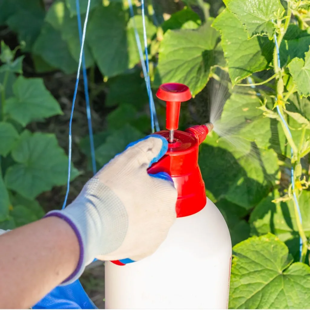 make hot pepper spray