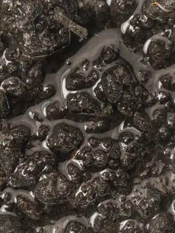 easiest way to make compost tea