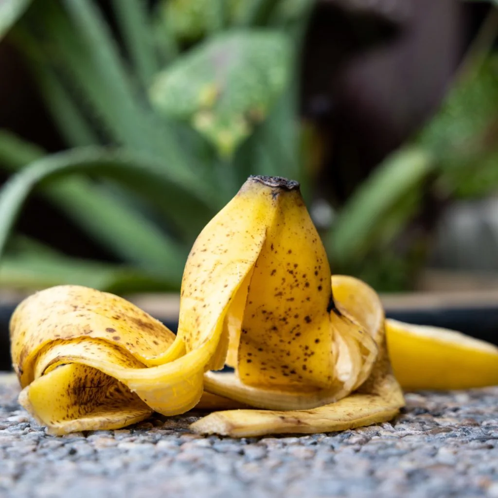 vegetable plants that love banana peels