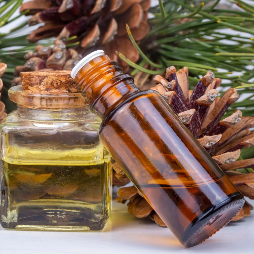 scented pine cones