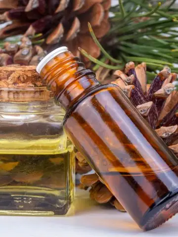 scented pine cones