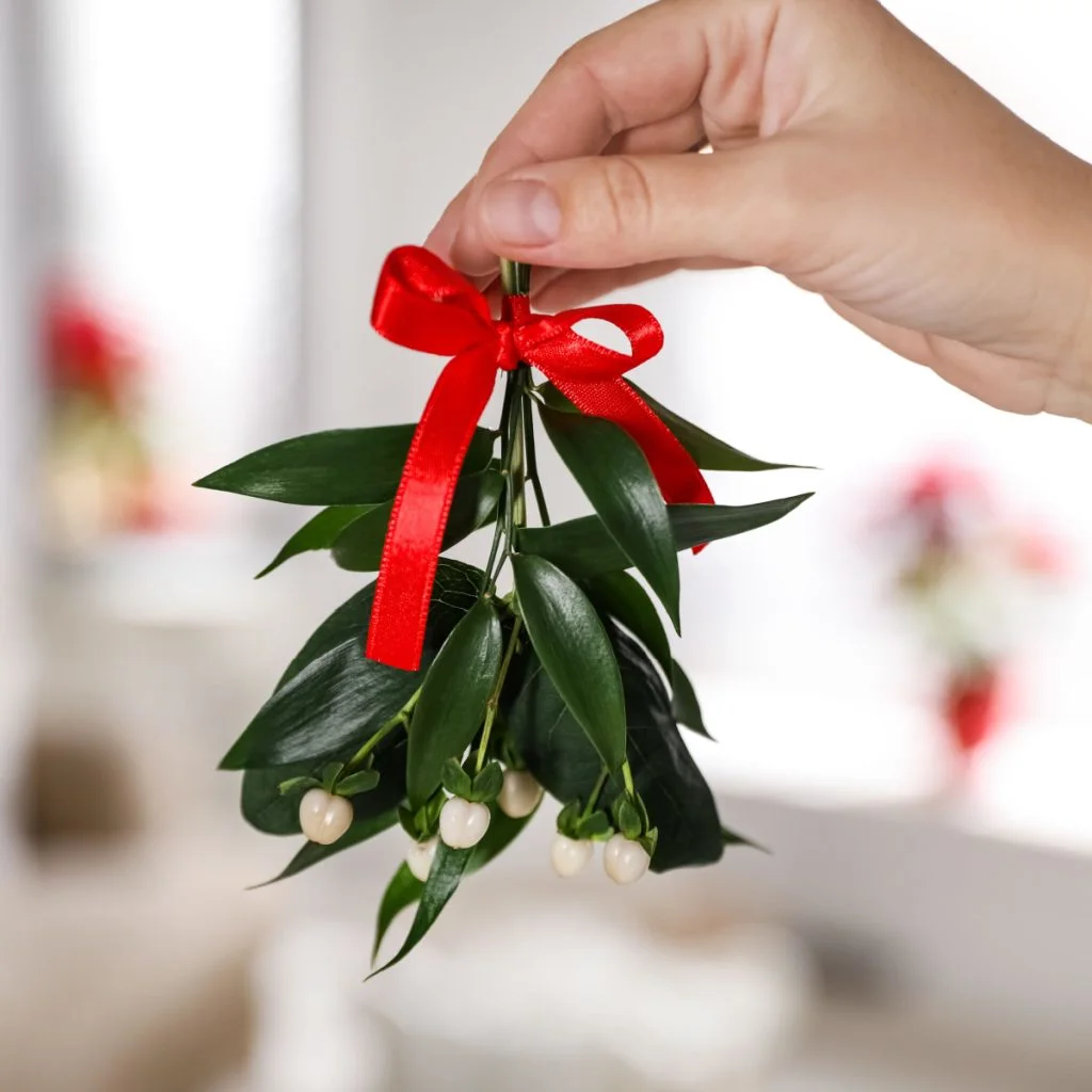 the secret of mistletoe