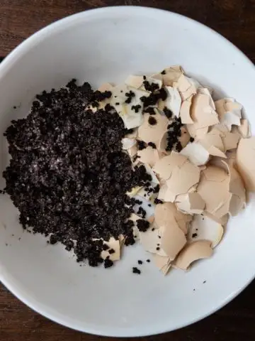 coffee grounds tomato plants and egg shells